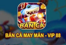 ban-ca-may-man